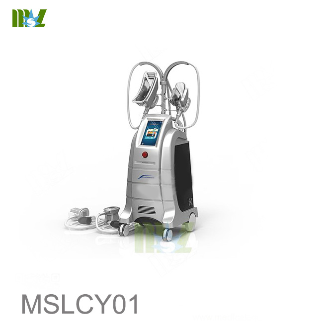 MSL Fat freezing machine MSLCY01