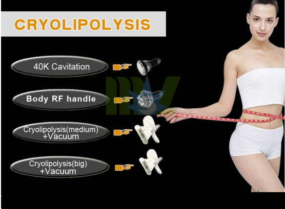 Cheap Cryolipolysis cavitation laser slimming machine MSLCY02